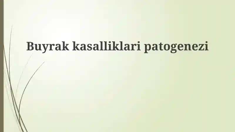 Buyrakkasalliklaripatogenezi 1