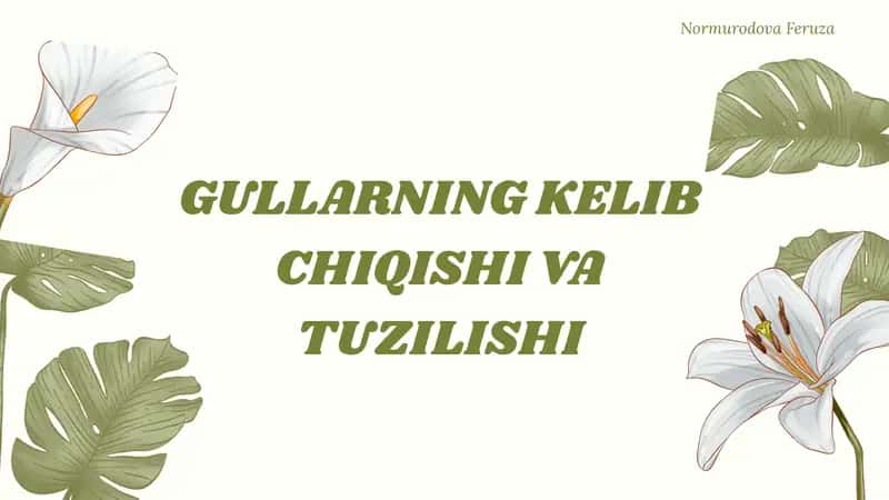 GULLARNING KELIB CHIQISHI VA TUZILISHI. 1