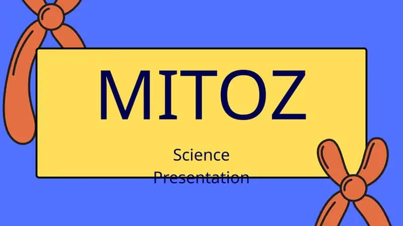 MITOZ 1