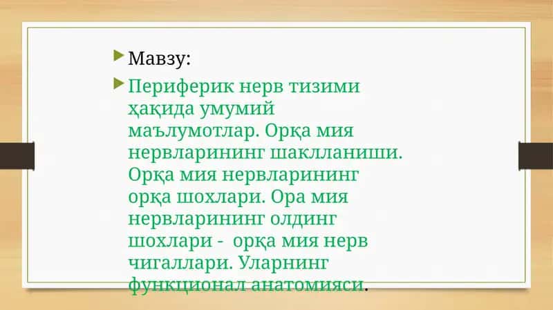 Периферик нерв тизими 1
