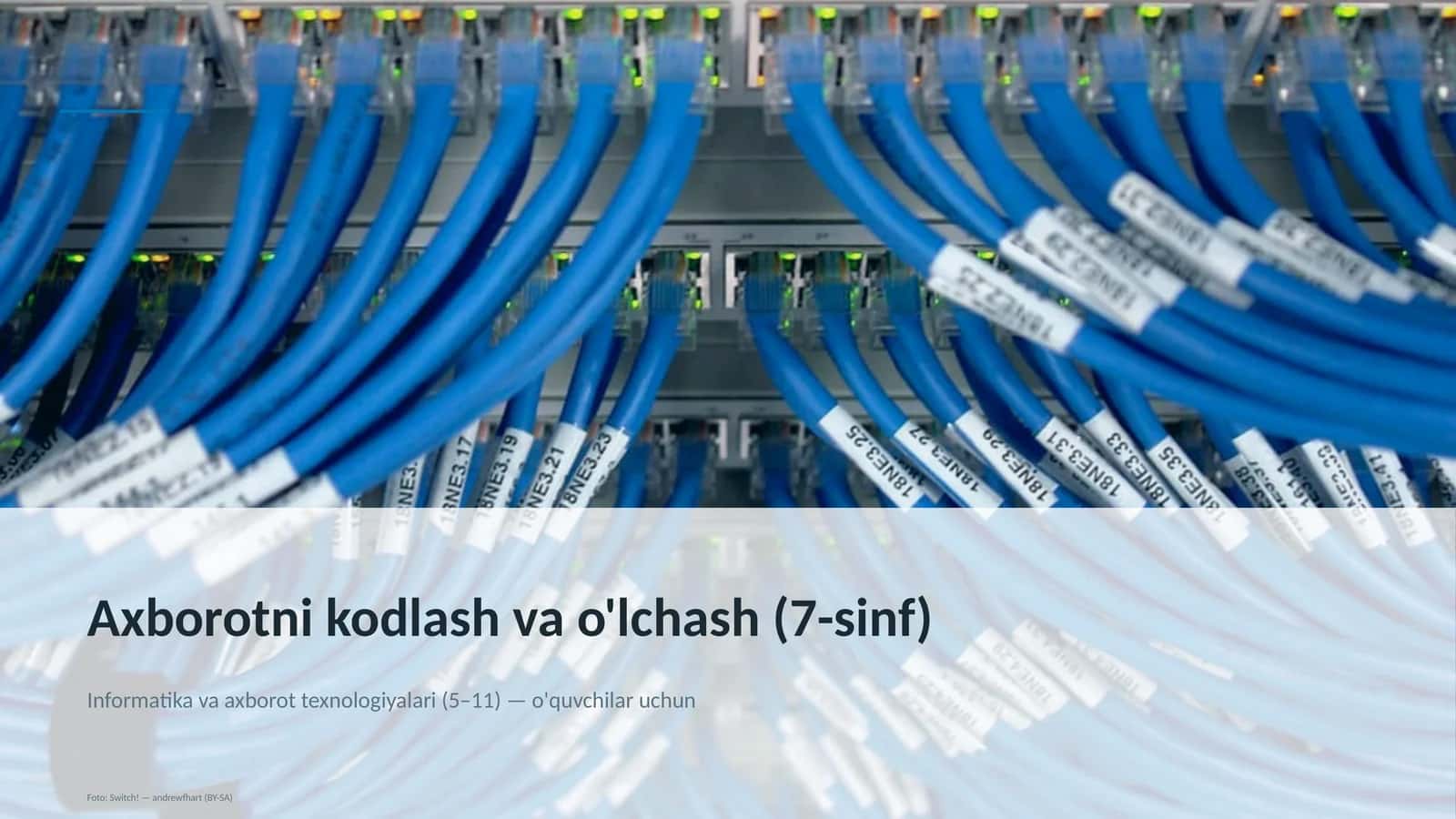 Axborotni kodlash va o'lchash (7-sinf) 1