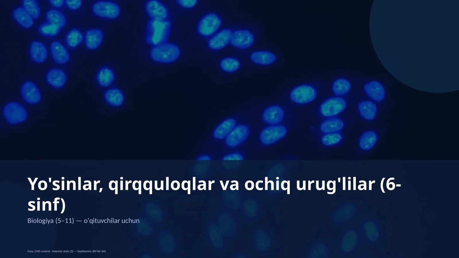 Yo'sinlar, qirqquloqlar va ochiq urug'lilar (6-sinf) 1