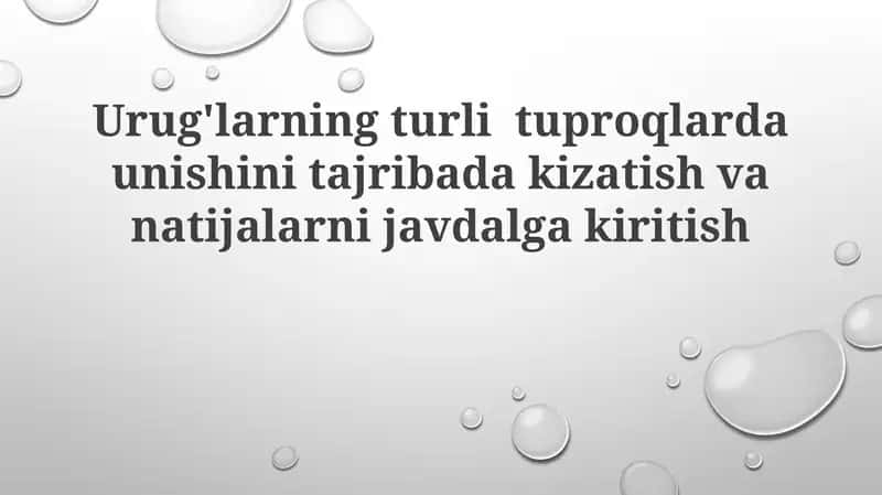 Urug'larning turli tuproqlarda unib chiqishini tajribadan kizatish va natijalarni javobga kiritish 1