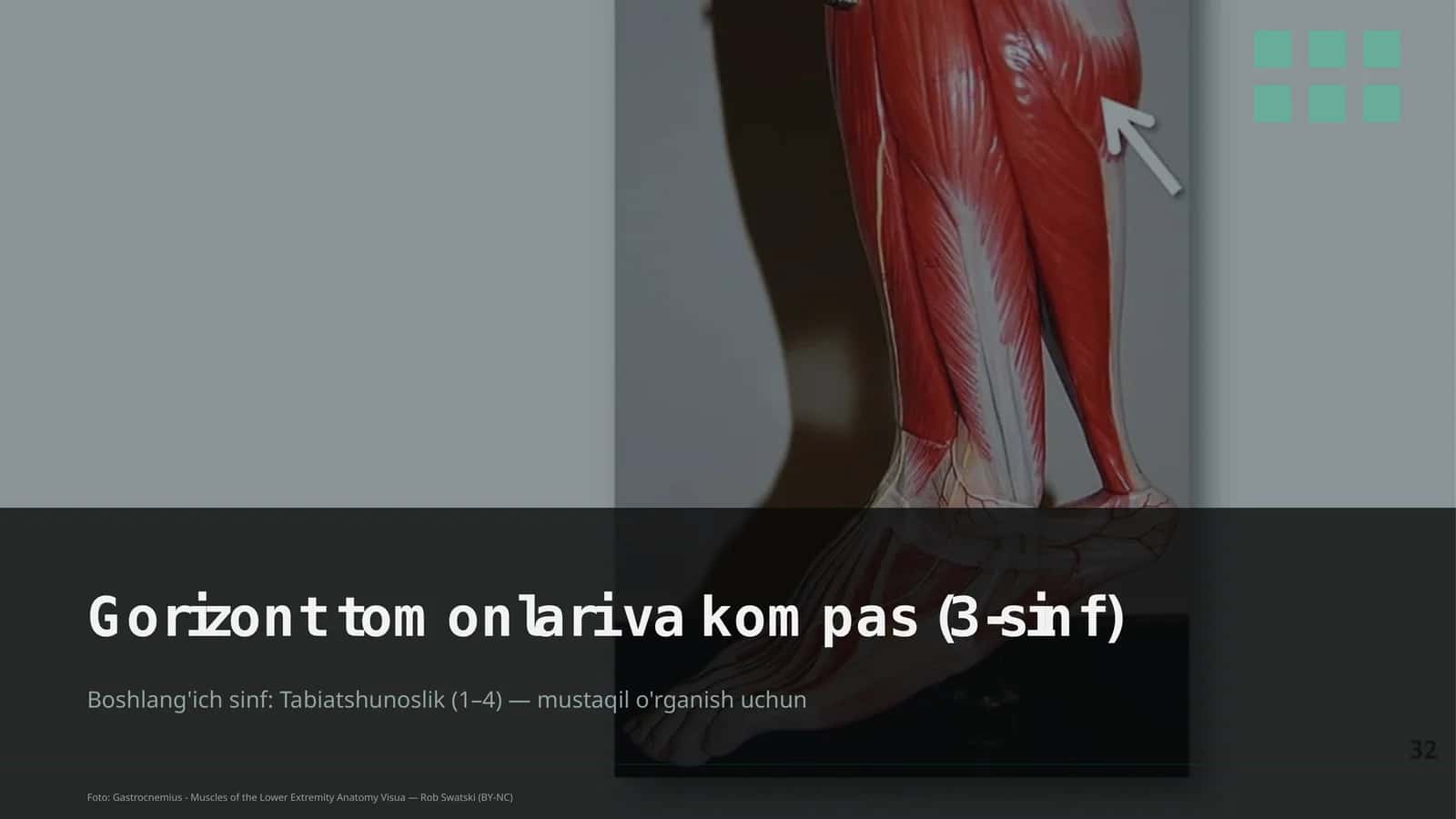 Gorizont tomonlari va kompas (3-sinf) 1