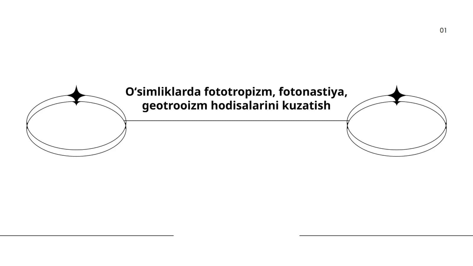 Oʻsimliklarda fototropizm, fotonastiya, geotrooizm hodisalarini kuzatish 1