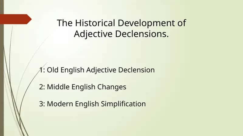 The Historical Development of Adjective Declensions 1