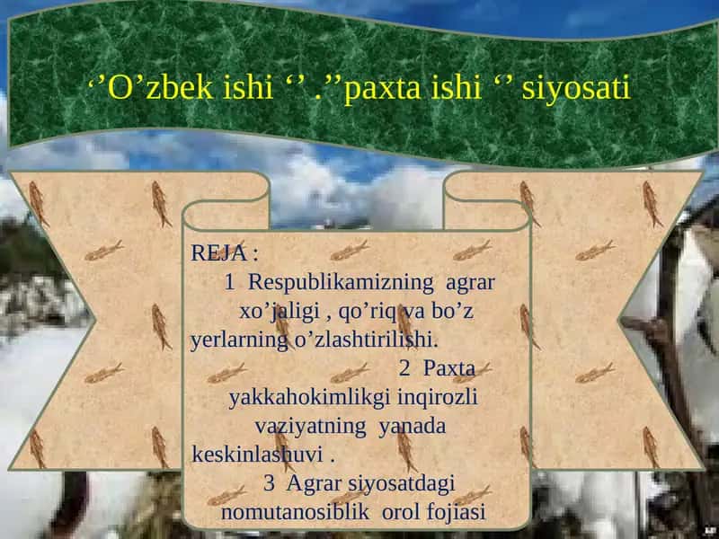 O’zbekishi paxta ishi siyosati 1