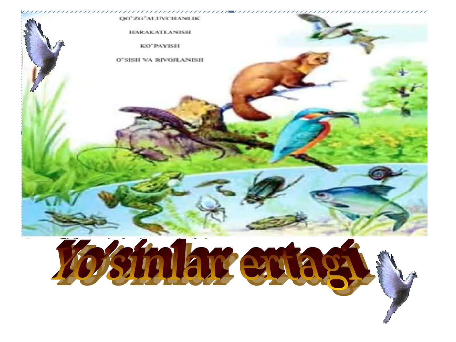 Tuban va yuksak o'simliklar 1