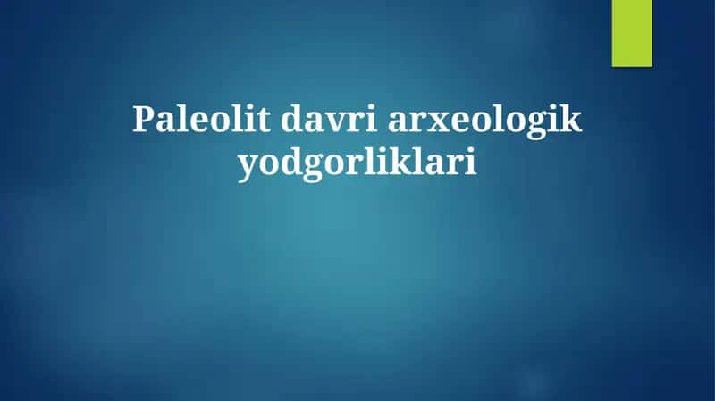 Paleolit davri arxeologik yodgorliklari 1