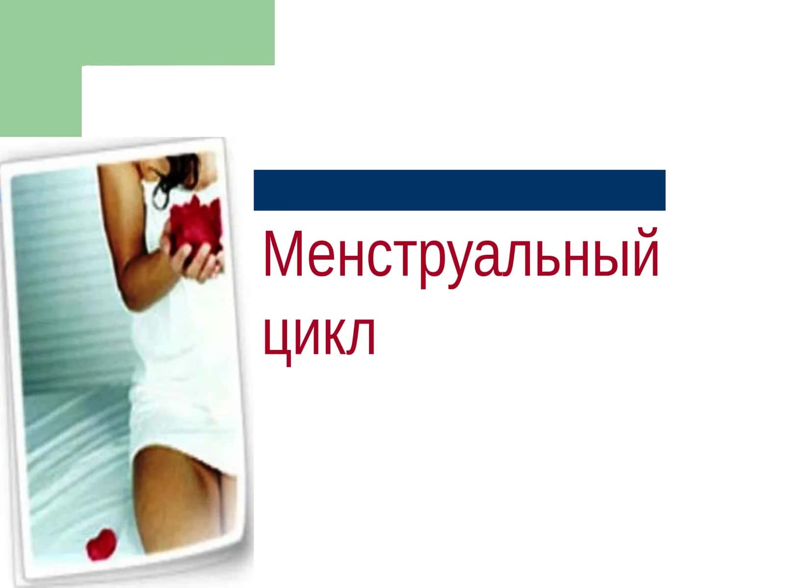 Менструальный цикл 1