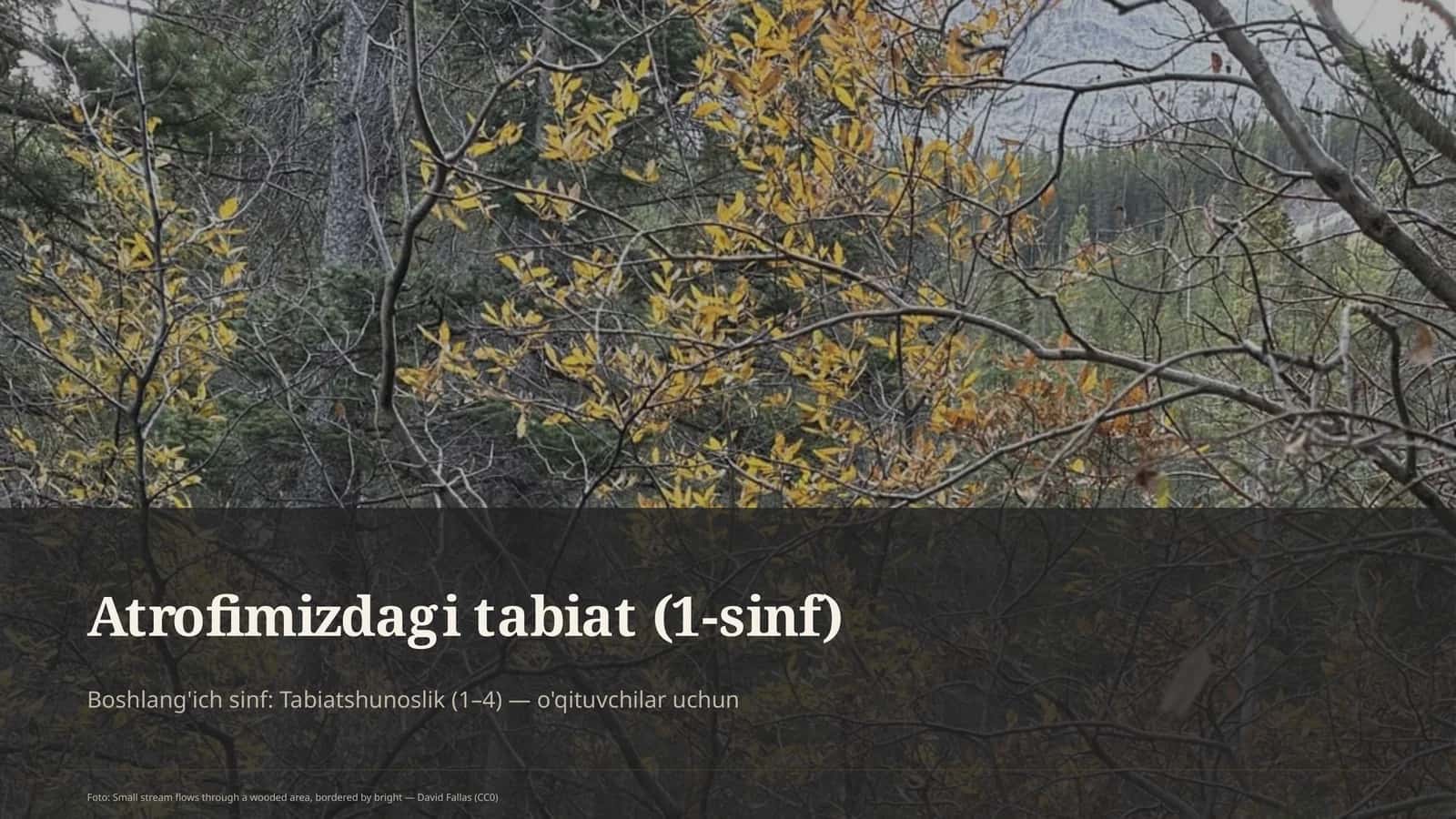 Atrofimizdagi tabiat (1-sinf) 1