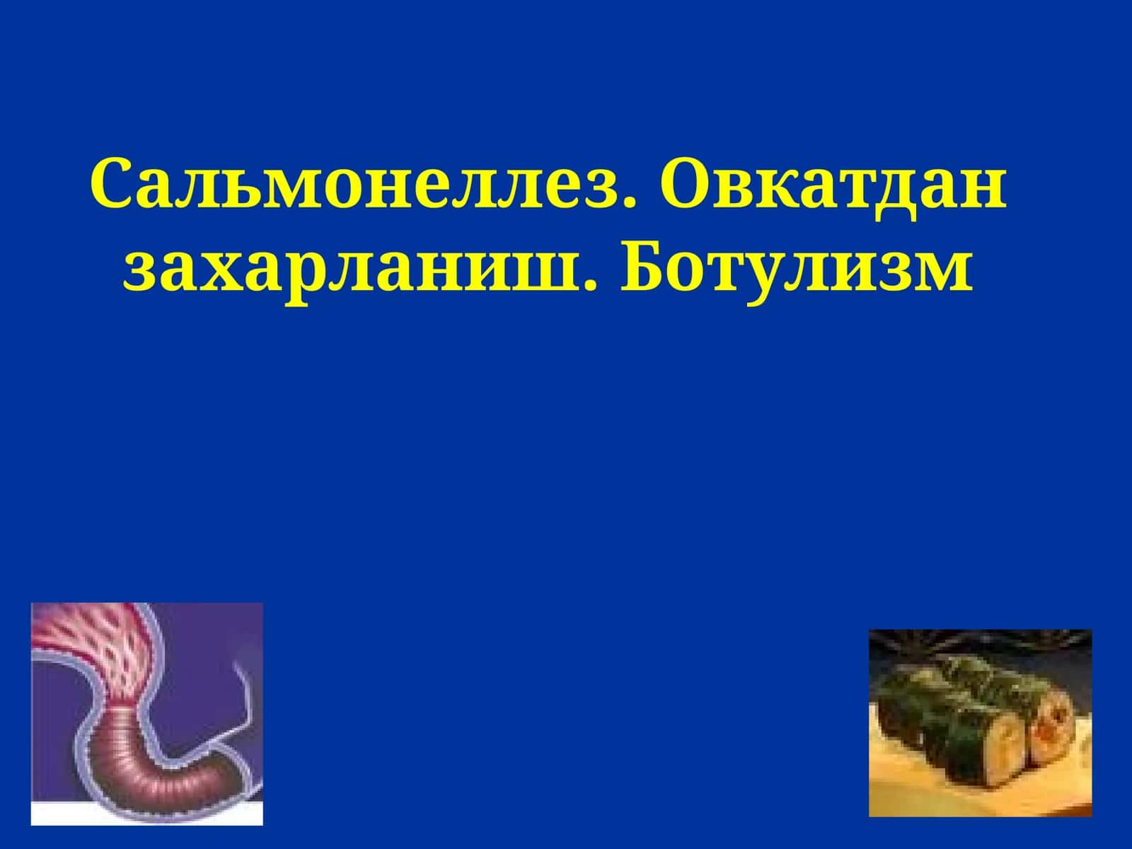 Сальмонеллез 1
