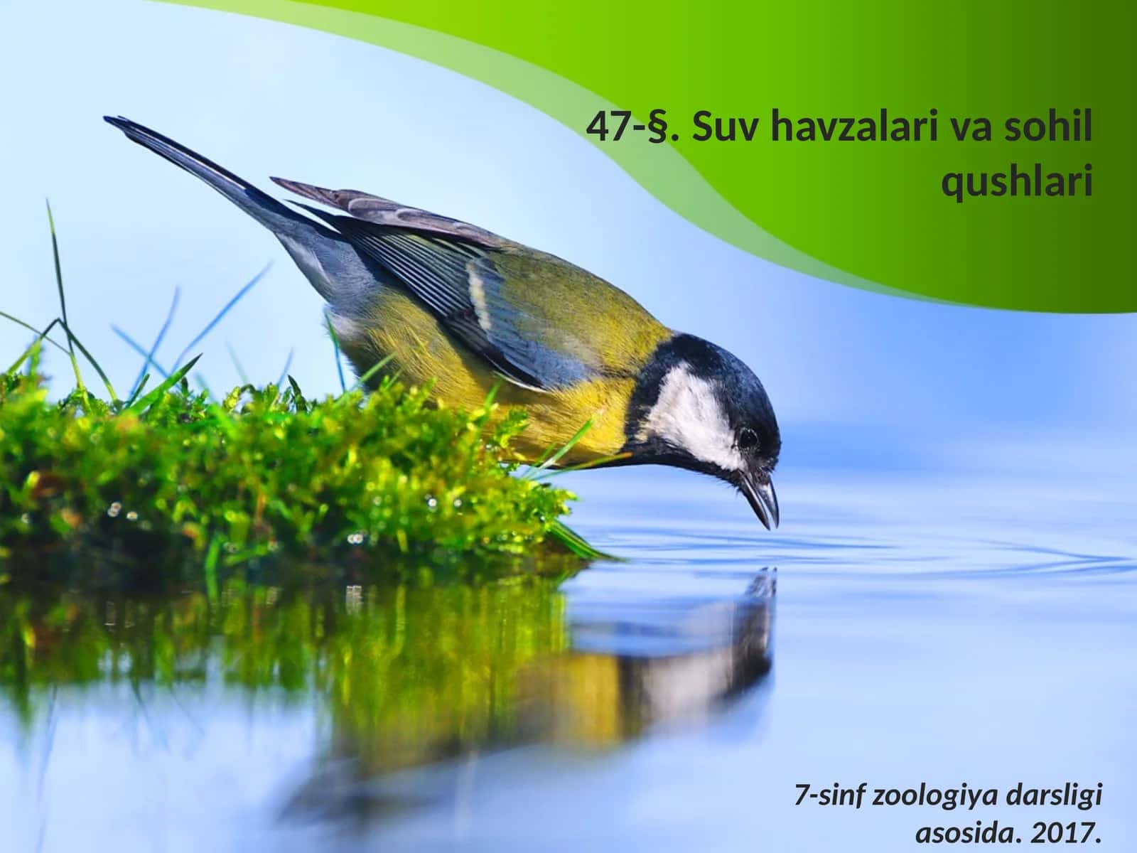 7-sinf Zoologiya 'Suv havzalari va sohil qushlari' ko'rgazma 1