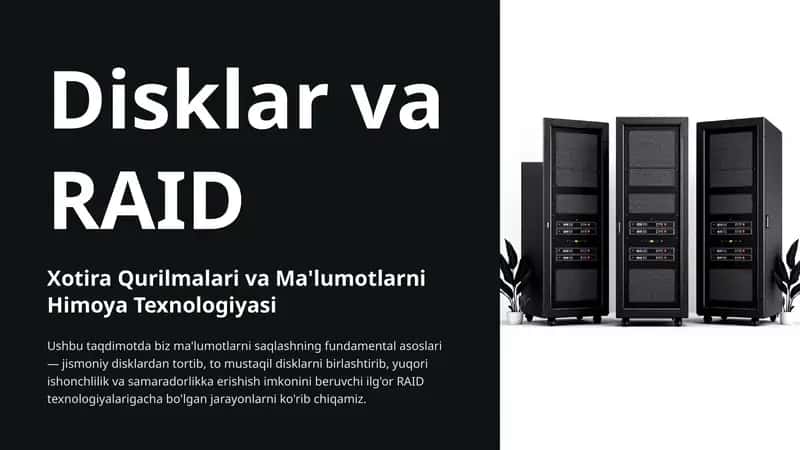 Disklar va RAID 1