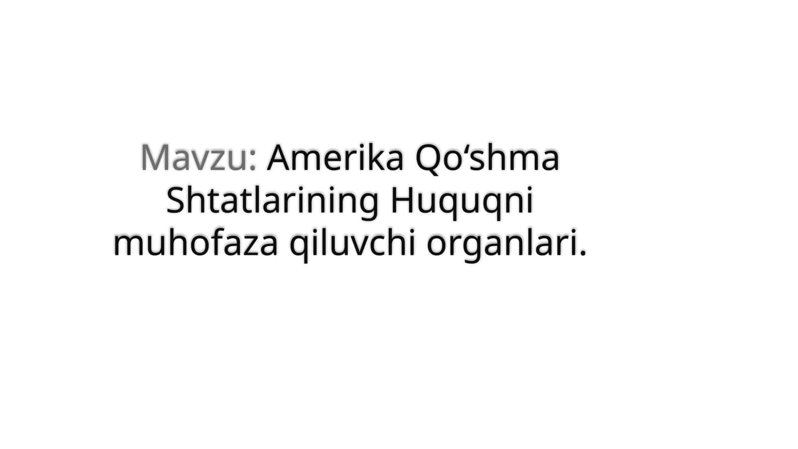 Amerika Qo‘shma Shtatlarining Huquqni muhofaza qiluvchi organlari 1