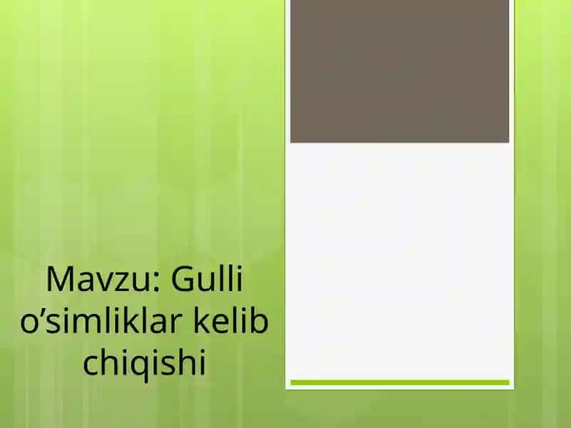 Gulli O'simliklar 1