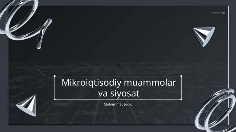 Mikroiqtisodiy muammolar va siyosat 1
