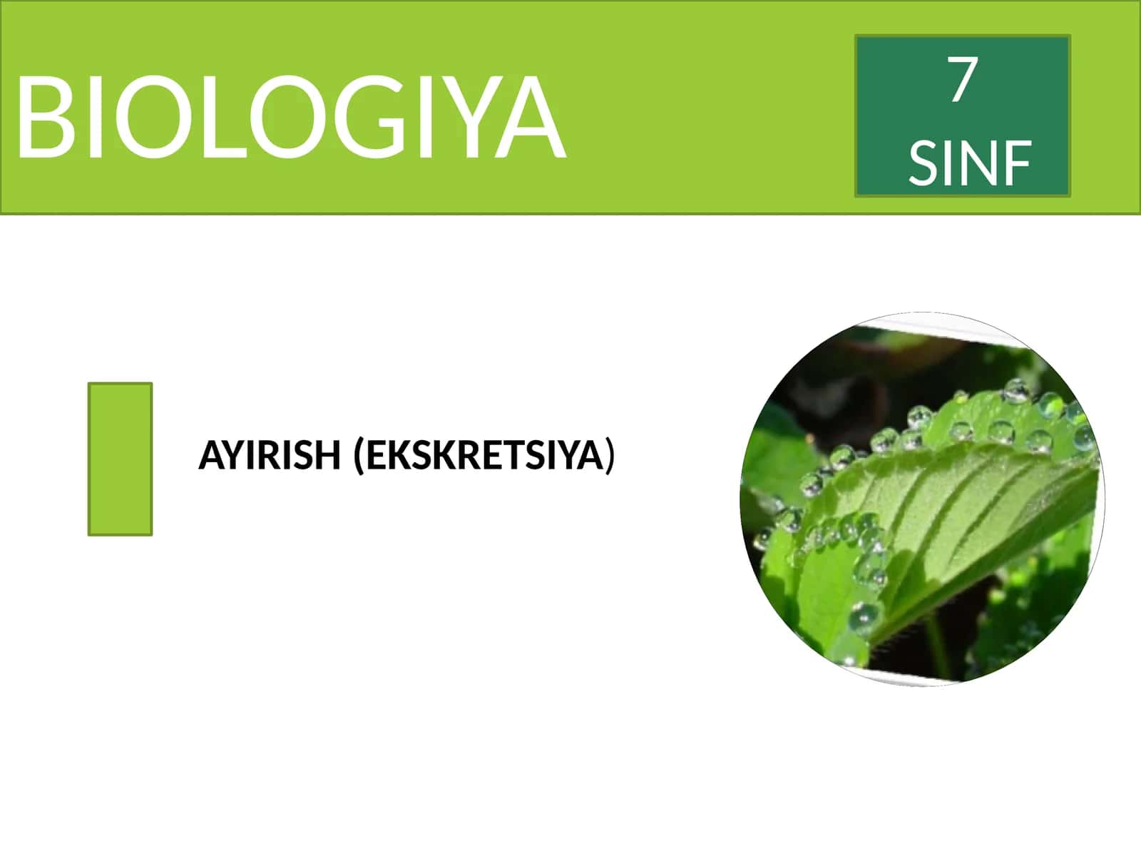 ayirish organlari 1