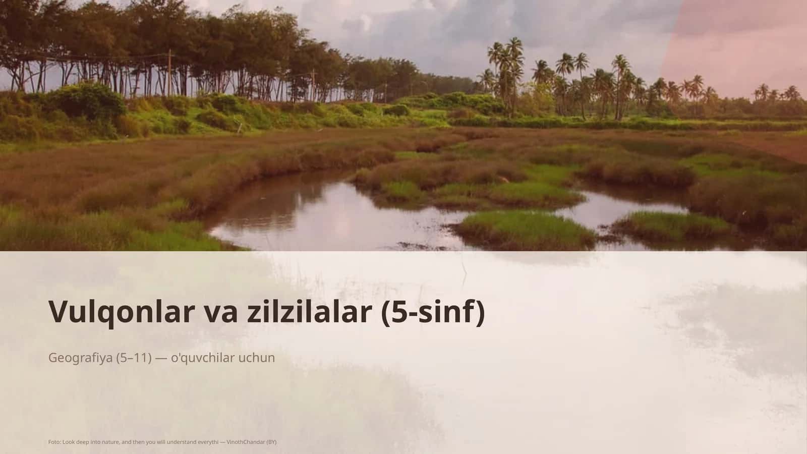 Vulqonlar va zilzilalar (5-sinf) 1