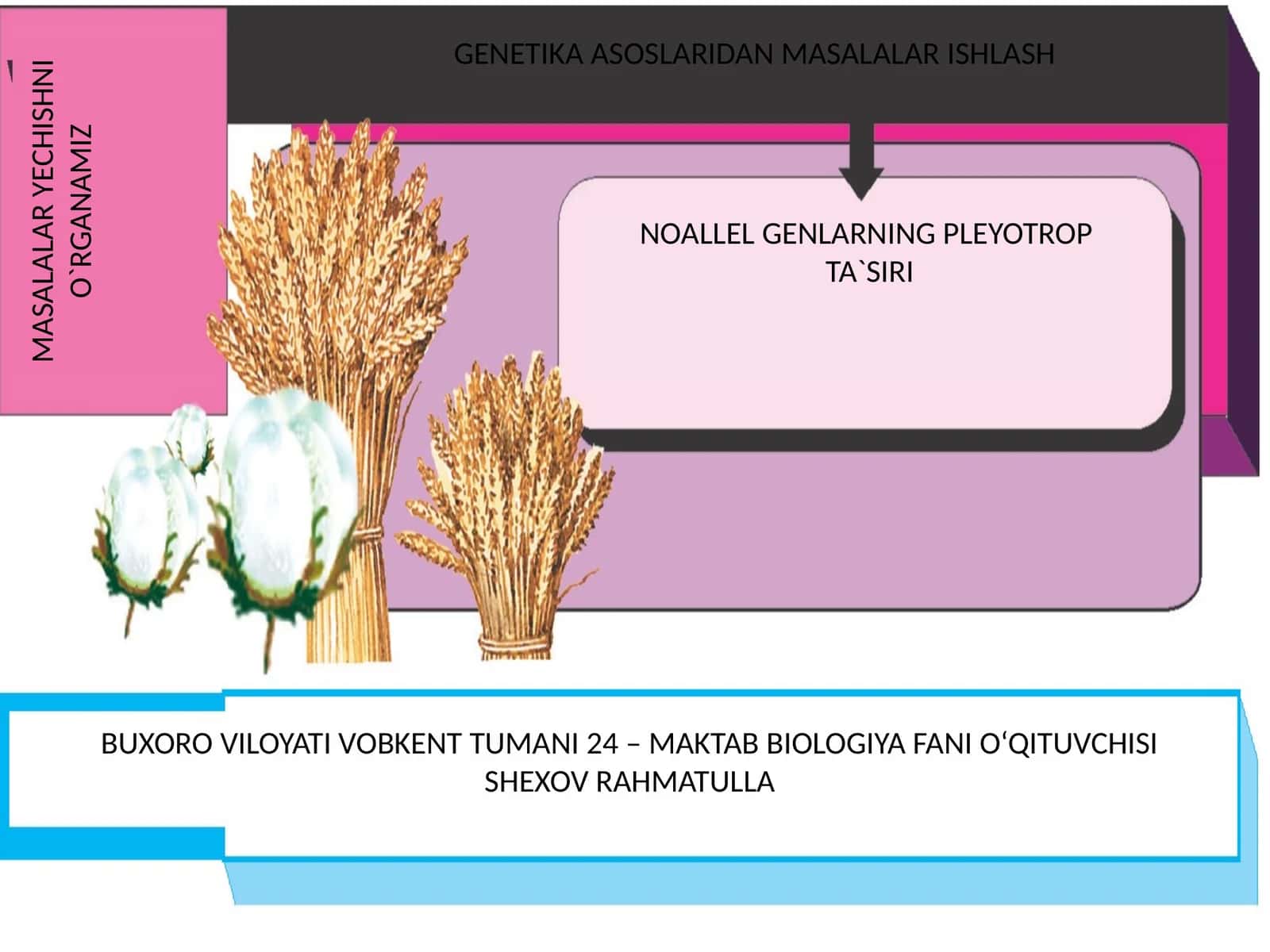 NOALLEL GENLARNING PLEYOTROP TA`SIRI 1