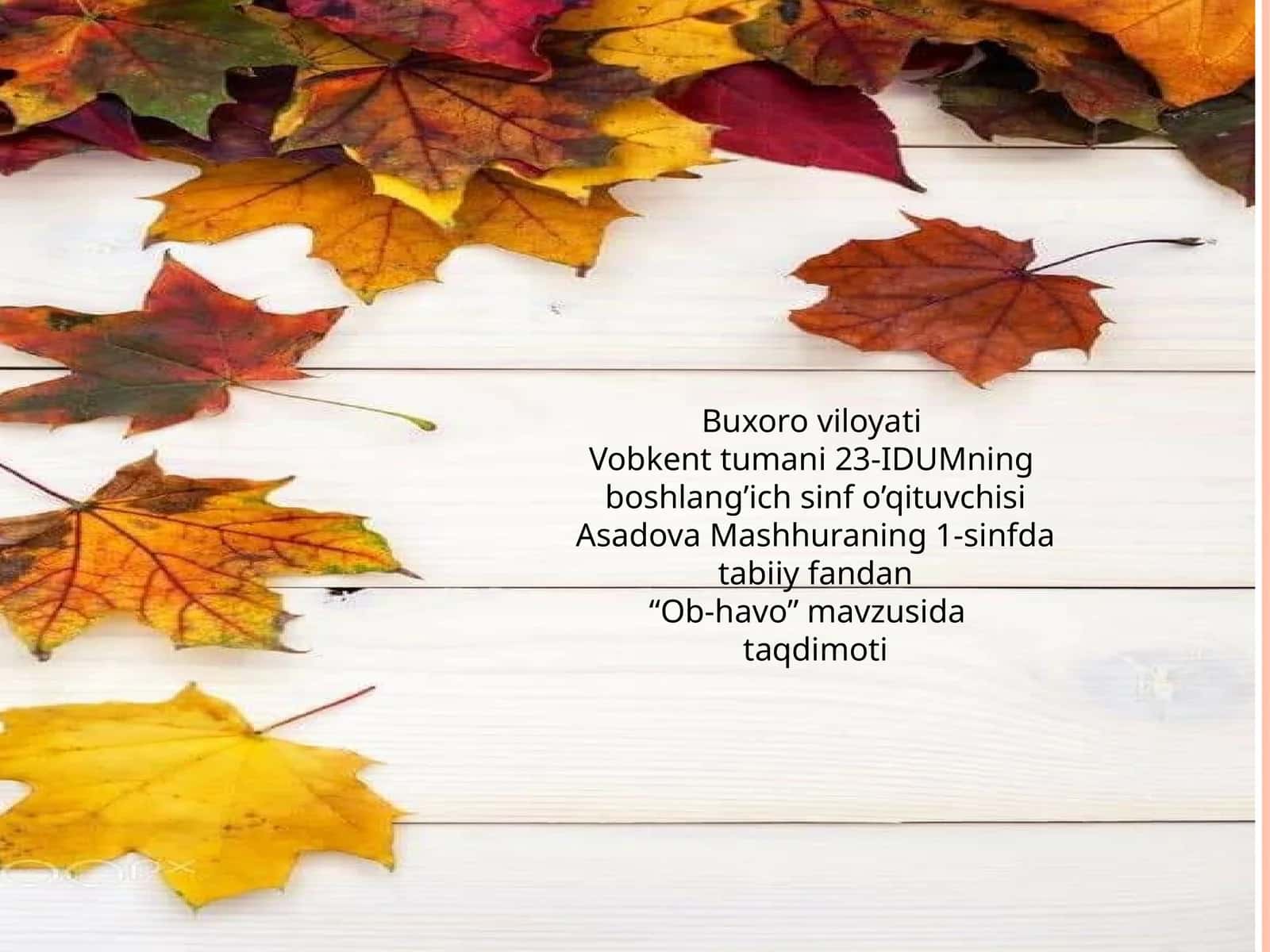 Ob-havo 1