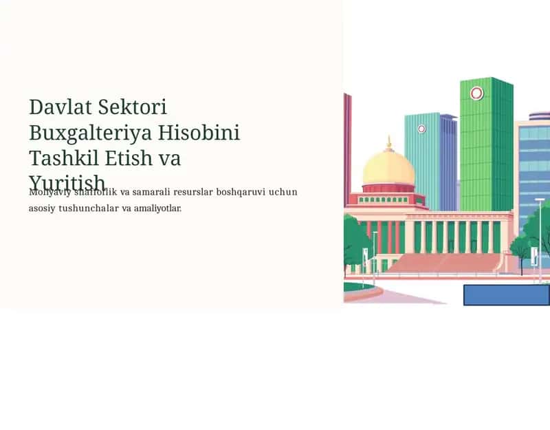 Davlat Sektori Buxgalteriya Hisobini Tashkil Etish va Yuritish 1
