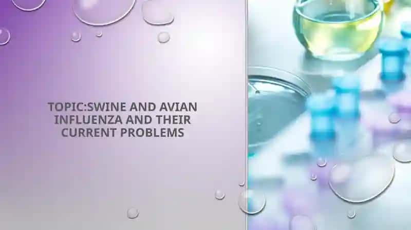 Swine and avian influenza and their current problems 1