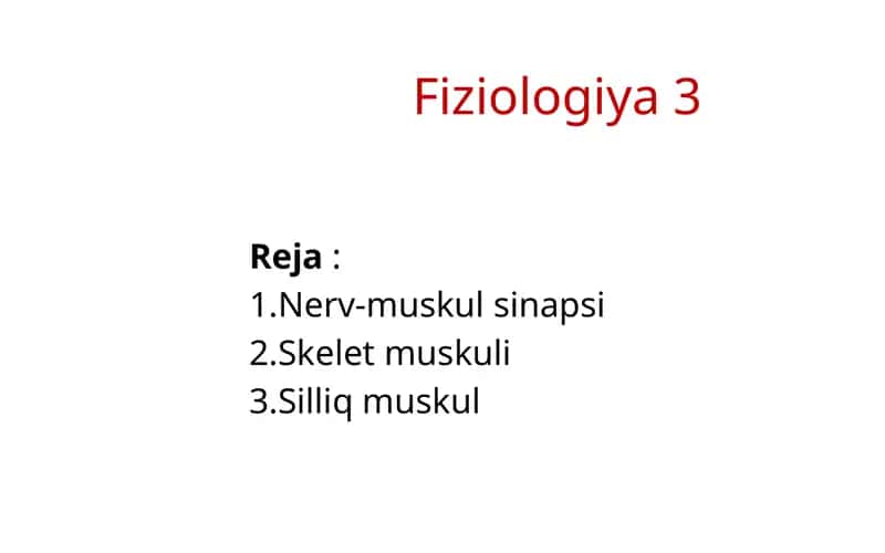 Nerv-muskul sinapsi tuzilishi 1