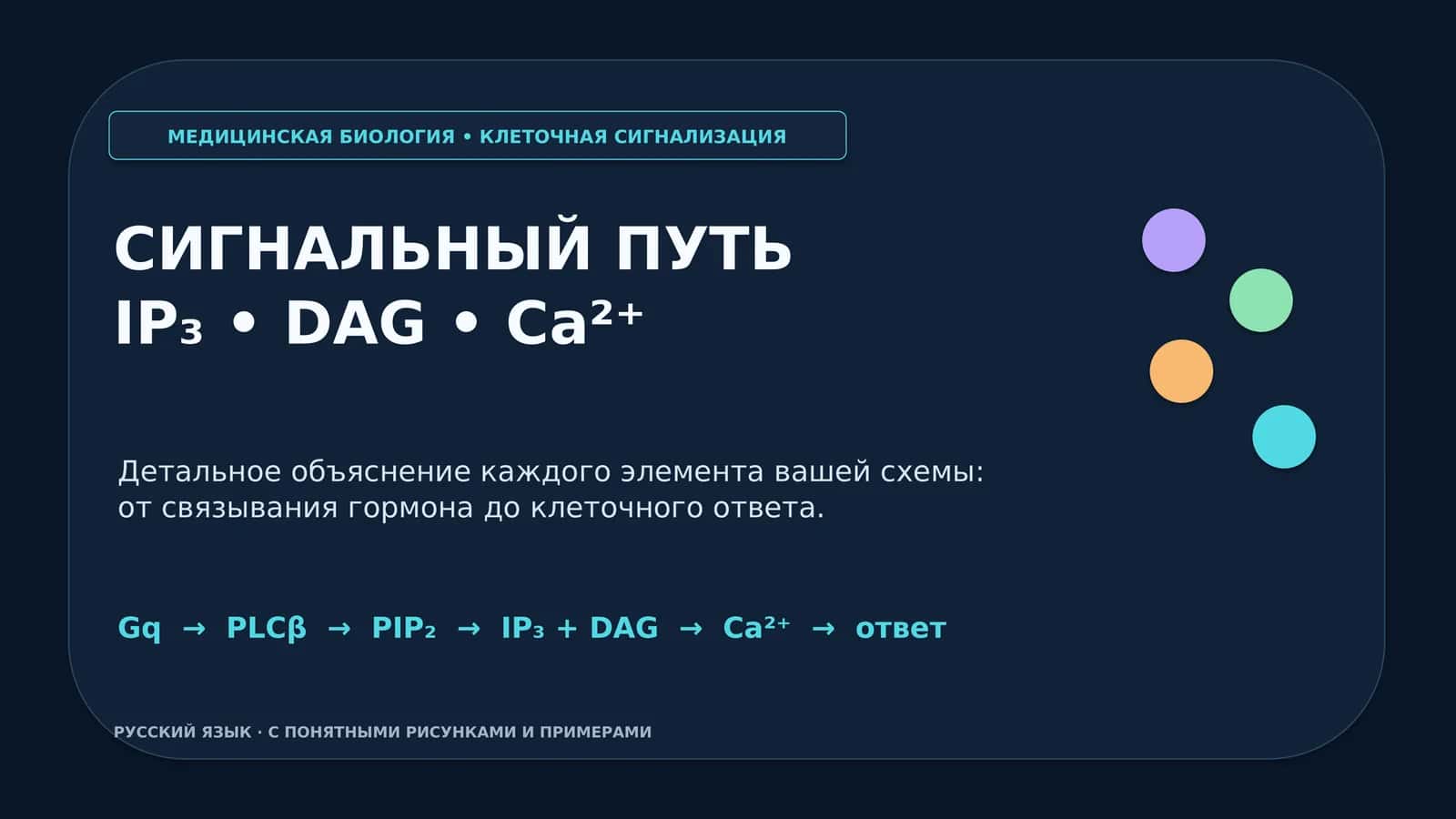 МЕДИЦИНСКАЯ БИОЛОГИЯ • КЛЕТОЧНАЯ СИГНАЛИЗАЦИЯ 1