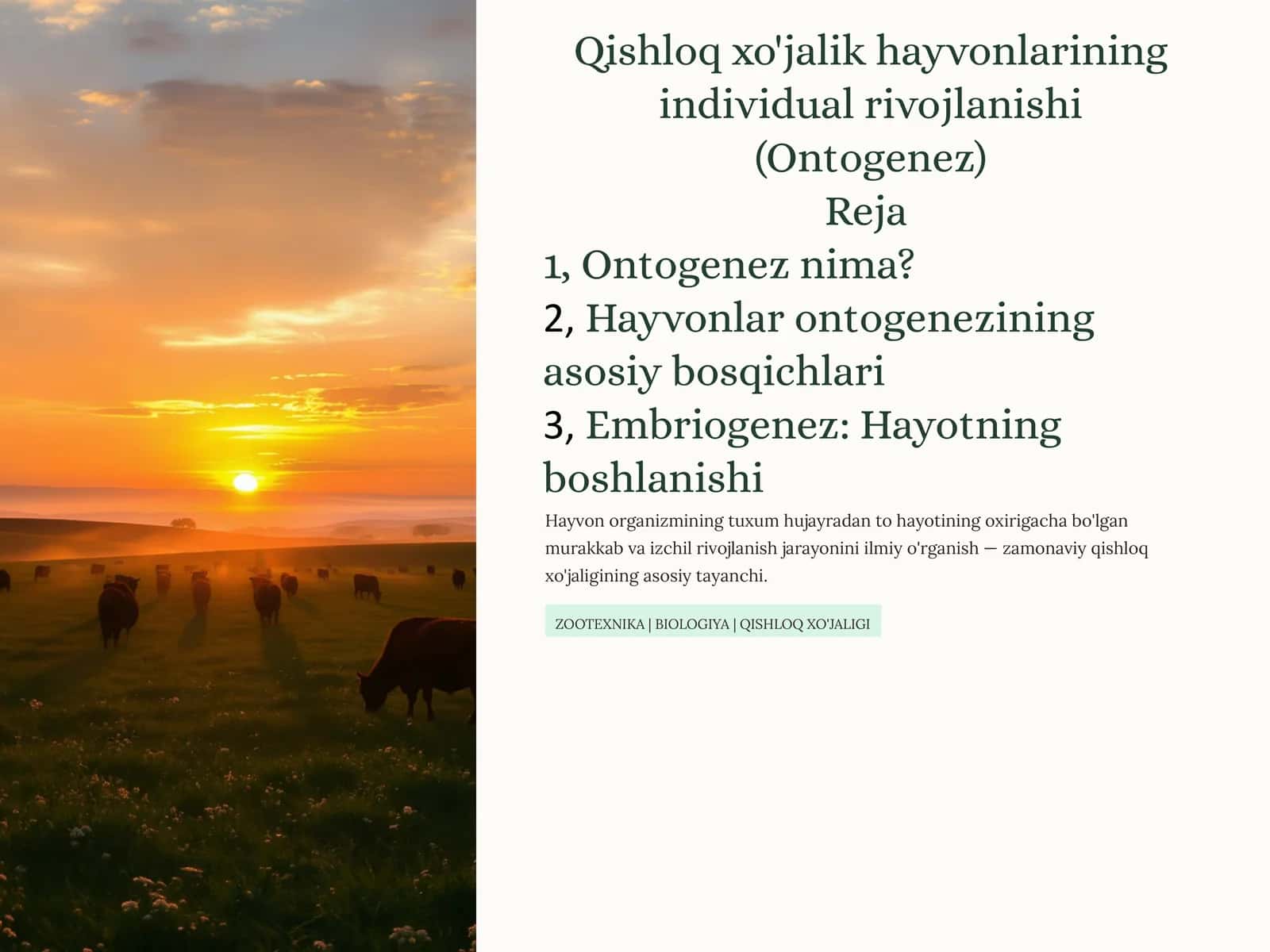 Qishloq xo'jalik hayvonlarining individual rivojlanishi (Ontogenez) 1