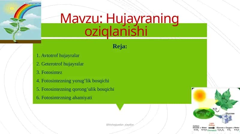 Hujayraning oziqlanishi. 1