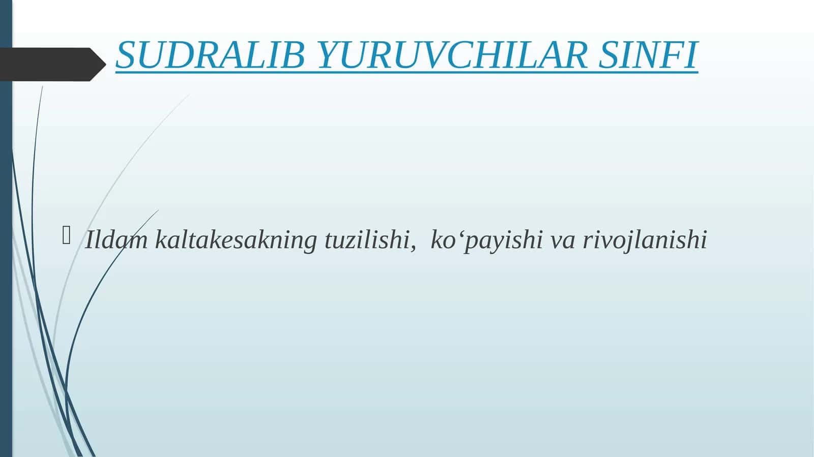 SUDRALIB YURUVCHILAR SINFI 1