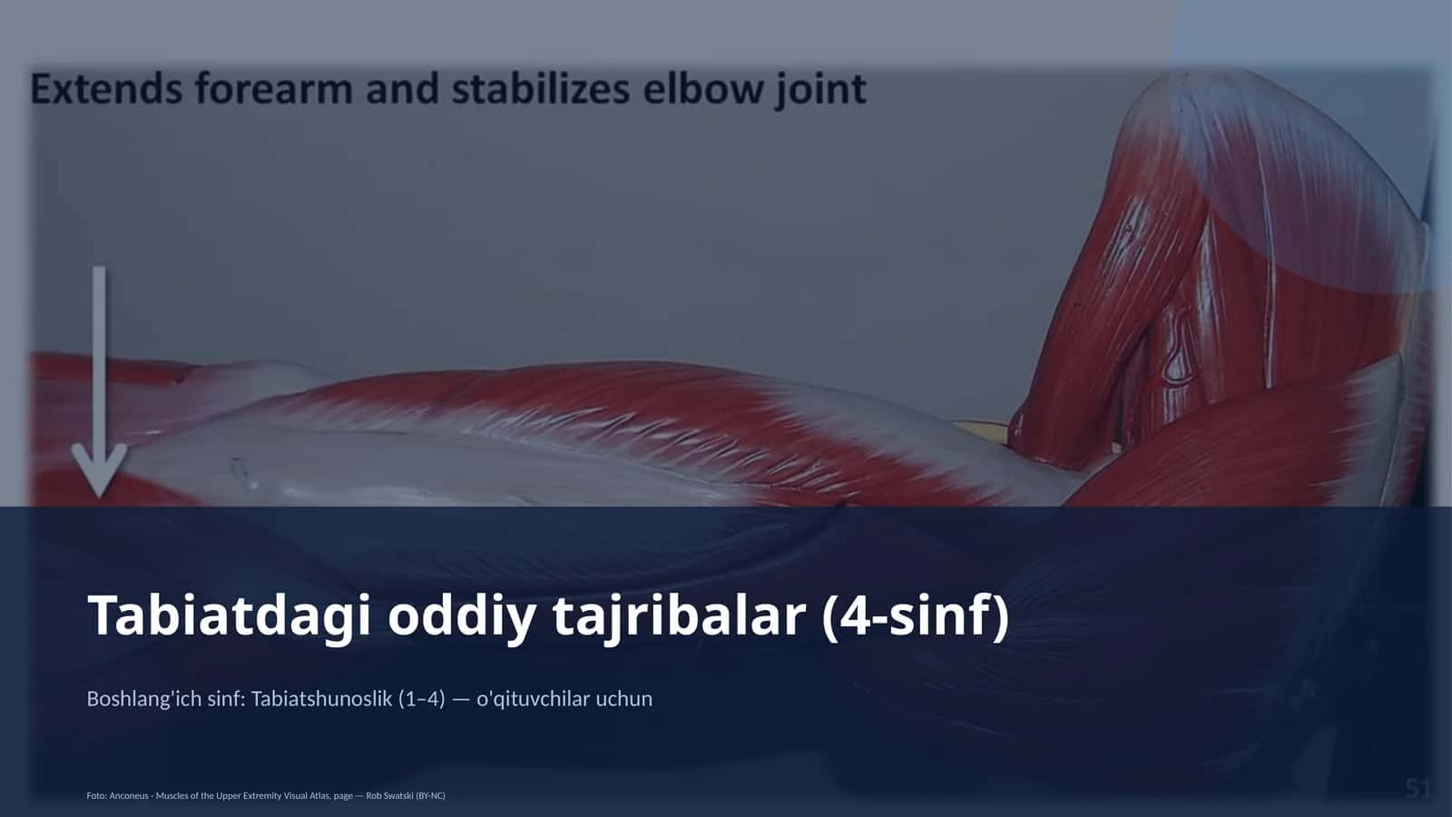 Tabiatdagi oddiy tajribalar (4-sinf) 1