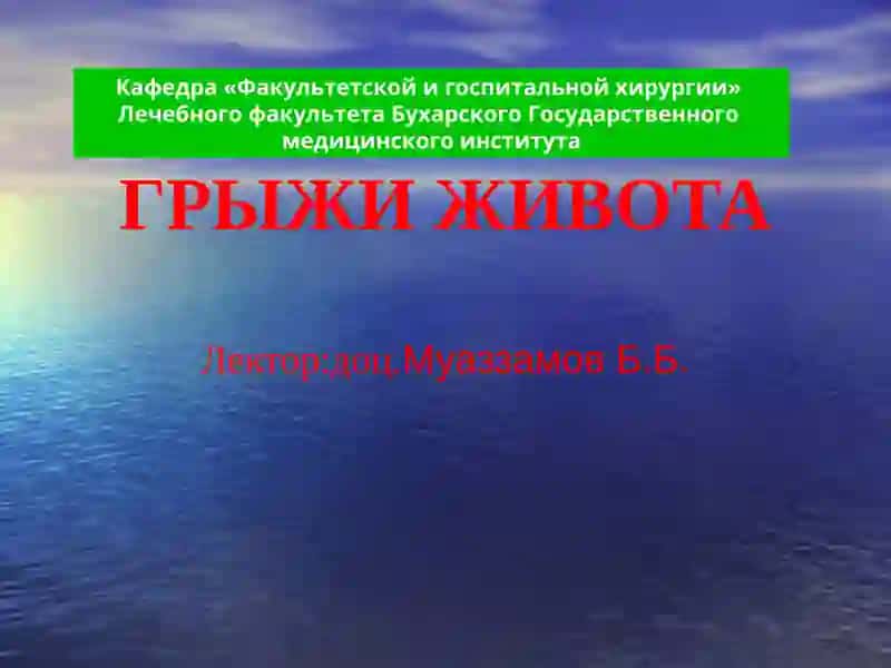 ГРЫЖИ ЖИВОТА