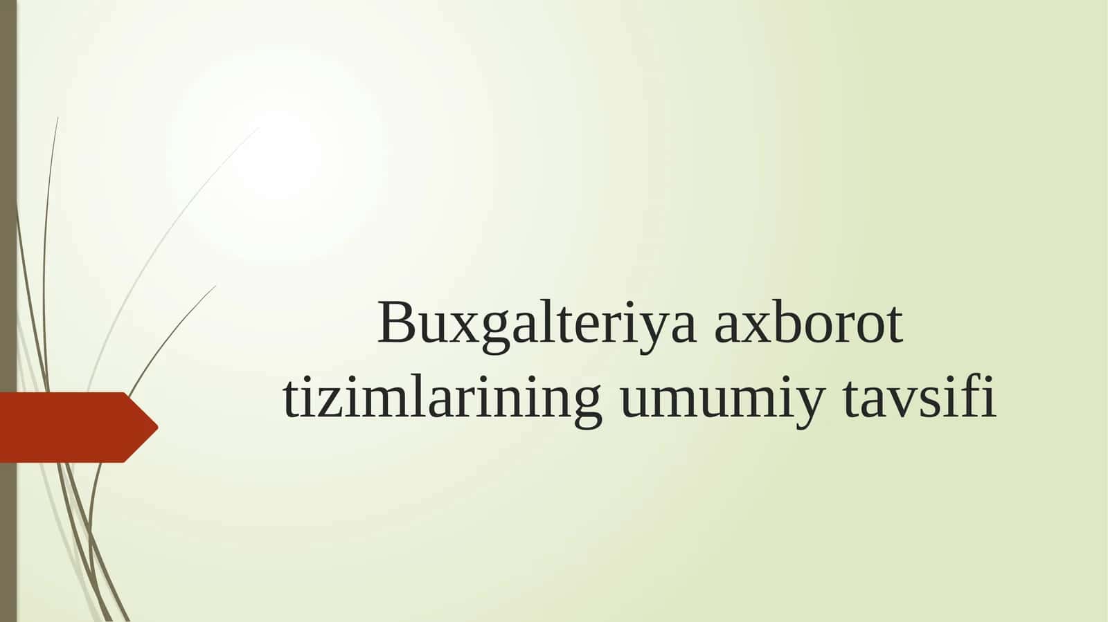 Buxgalteriya axborot tizimlari 1