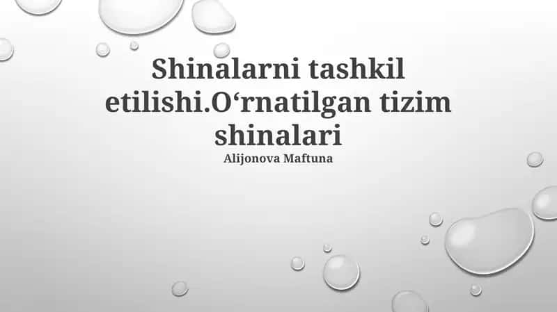 O'rnatilgan Avtobus Tizimlari 1
