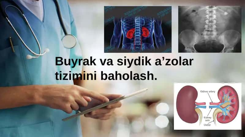 Chaqaloqlarda buyrak va siydik ajratish aʼzolari tizimini anatomo- fiziologik xususiyatlari va uning kasalliklari 1