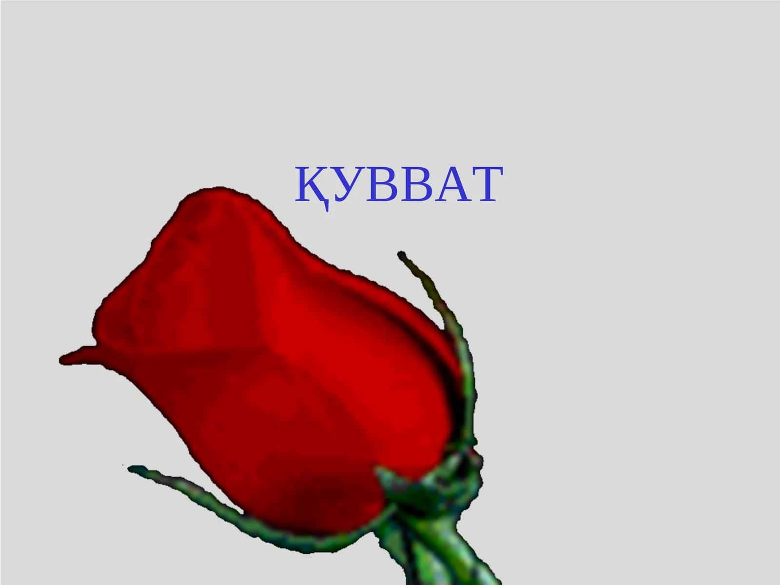 ҚУВВАТ 1