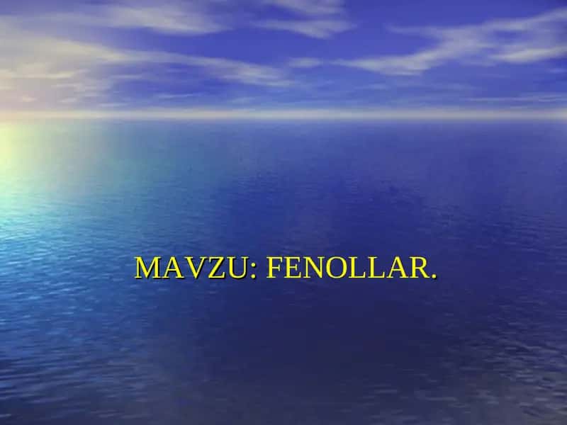 FENOLLAR 1