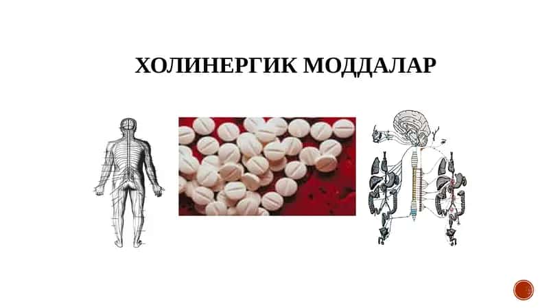 ХОЛИНЕРГИК МОДДАЛАР 1