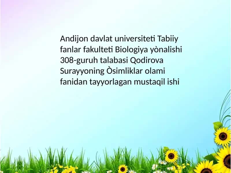 Subtropik oʻsimliklar kiritilgan turlar va ularning ahamiyati 1