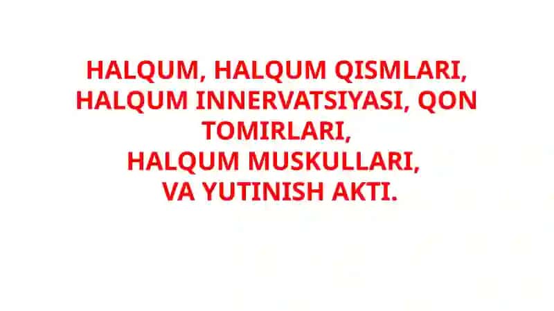 HALQUM, HALQUM QISMLARI, HALQUM INNERVATSIYASI, QON TOMIRLARI, HALQUM MUSKULLARI,   VA YUTINISH AKTI.