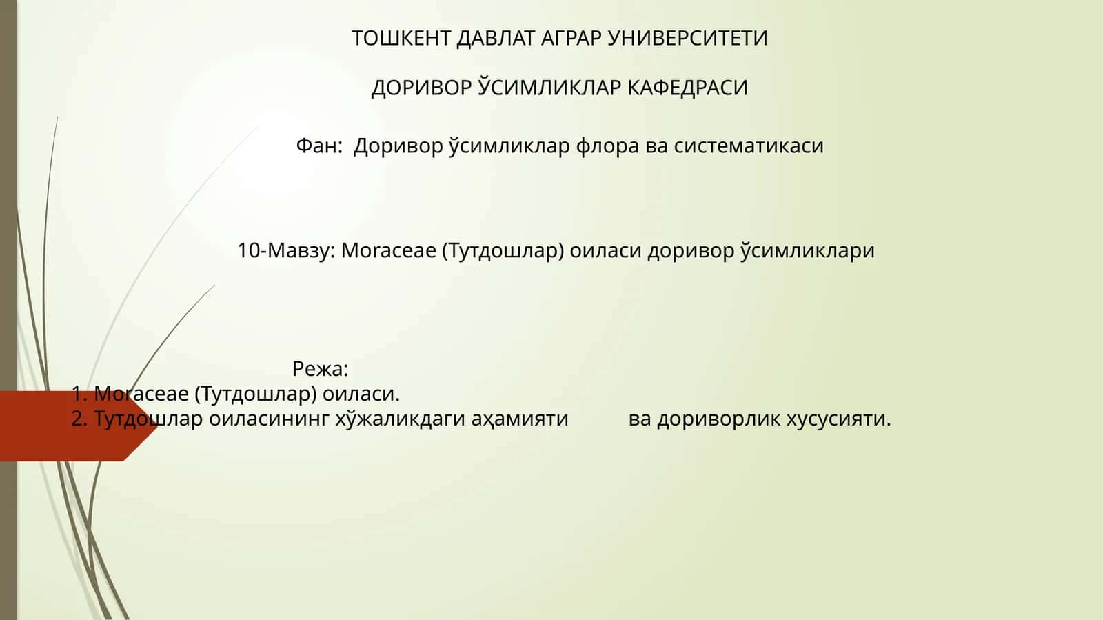 Moraceae (Тутдошлар) оиласи доривор ўсимликлари 1