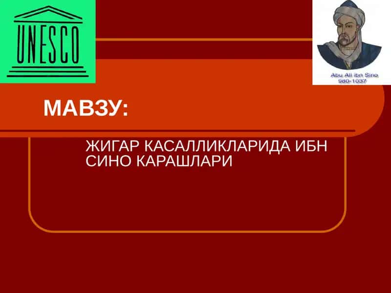 Жигар касалликларида Ибн Сино карашлари 1