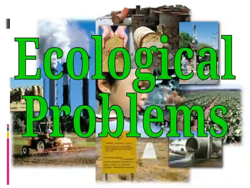 Ecology 1