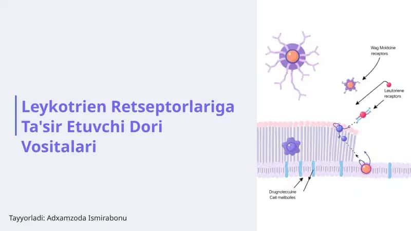 Leykotrien Retseptorlariga Ta'sir Etuvchi Dori Vositalari 1