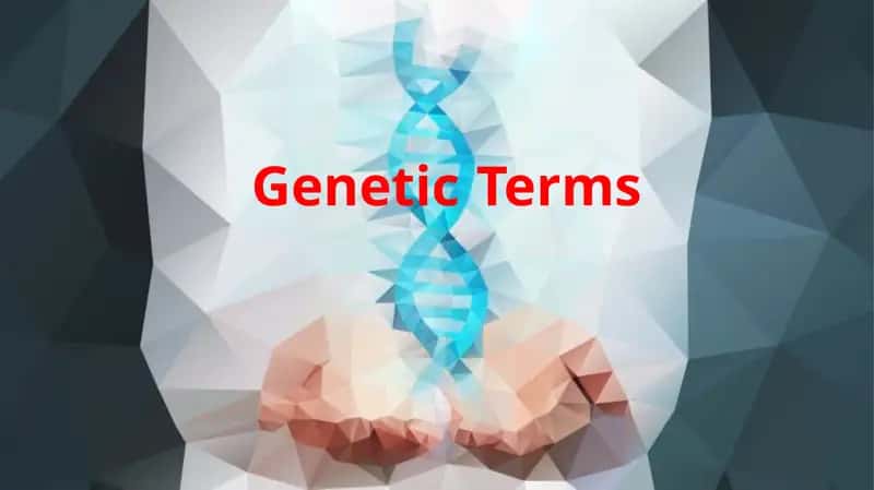 GeneticTerms 1