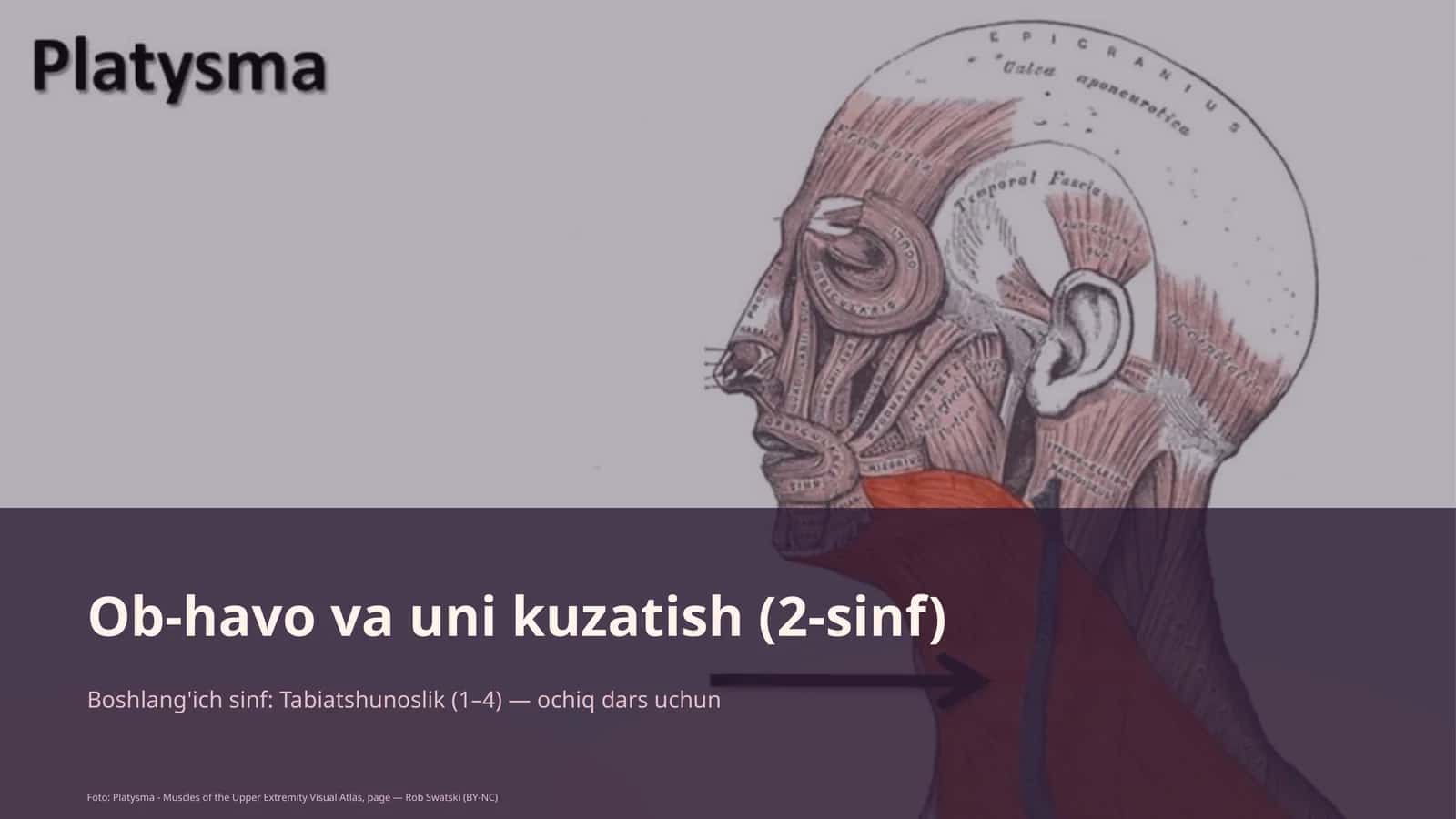 Ob-havo va uni kuzatish (2-sinf) 1