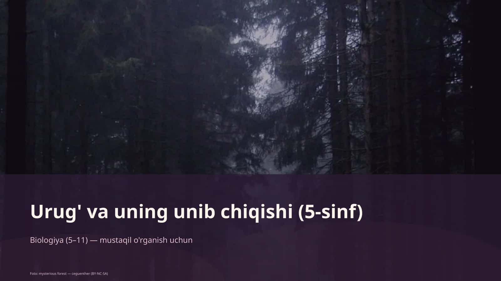 Urug' va uning unib chiqishi (5-sinf) 1