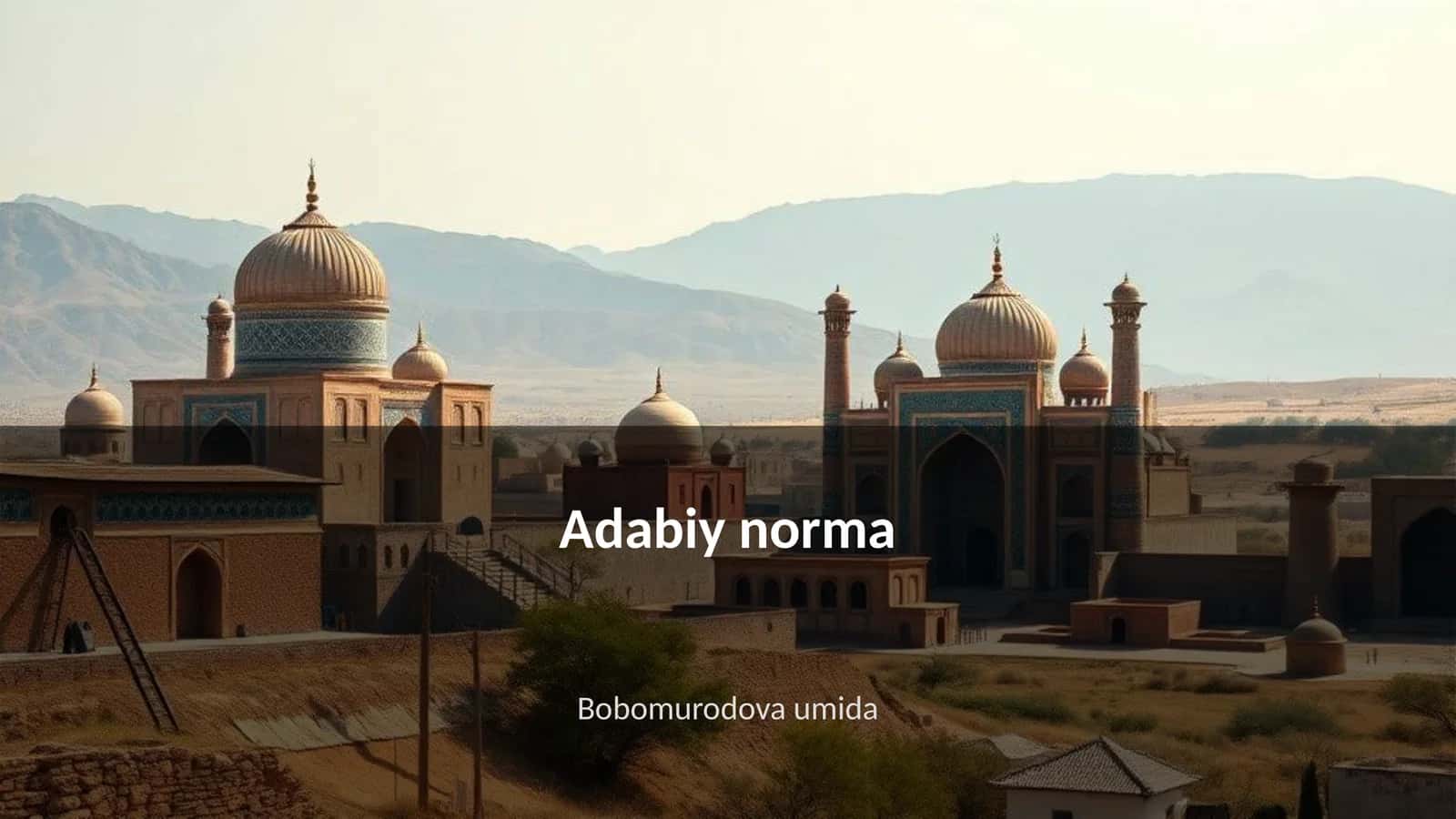 Adabiy norma 1